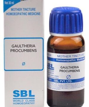SBL Gaultheria Procumbens Mother Tincture Q