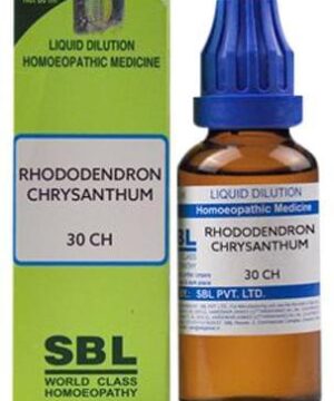 SBL Rhododendron Chrysanthum Dilution 30 CH