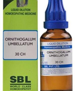 SBL Ornithogalum Umbellatum Dilution 30 CH