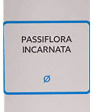 SBL Passiflora Incarnata Mother Tincture Q