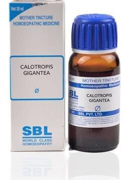 SBL Calotropis Gigantea Mother Tincture Q