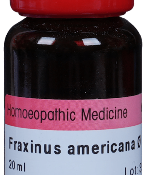 Dr. Reckeweg Fraxinus Amer Mother Tincture Q