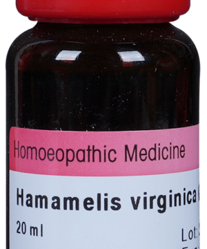 Dr. Reckeweg Hamamelis Virg Mother Tincture Q