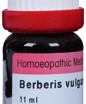 Dr. Reckeweg Berberis Vul Dilution 30 CH