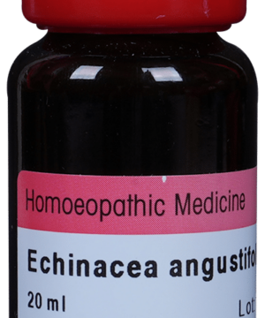 Dr. Reckeweg Echinacea Ang Mother Tincture Q