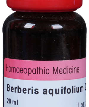 Dr. Reckeweg Berberis Aquif Mother Tincture Q