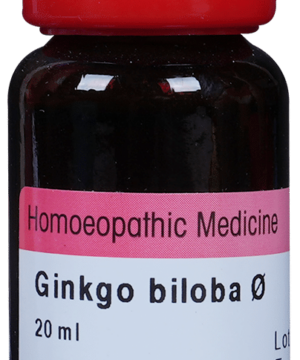 Dr. Reckeweg Ginkgo Biloba Mother Tincture Q