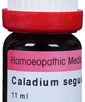 Dr. Reckeweg Caladium Seg Dilution 200 CH