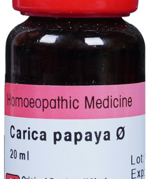 Dr. Reckeweg Carica Papaya Mother Tincture Q | For Liver Care Mother Tincture Q