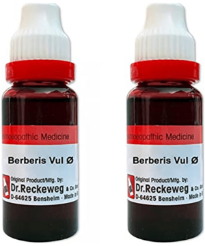 Dr. Reckeweg Berberis Vul Mother Tincture Q (20ml Each)