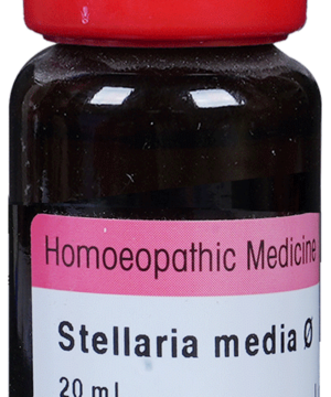 Dr. Reckeweg Stellaria Media Mother Tincture Q