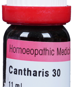 Dr. Reckeweg Cantharis Dilution 30 CH