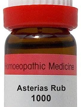 Dr. Reckeweg Asterias Rub Dilution 1000 CH