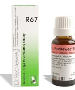 Dr. Reckeweg R67 Circulatory Debility Drop