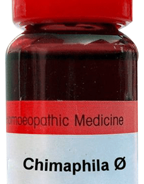 Dr. Reckeweg Chimaphila Mother Tincture Q