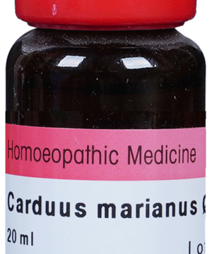 Dr. Reckeweg Carduus Mar Mother Tincture Q | For Liver Care