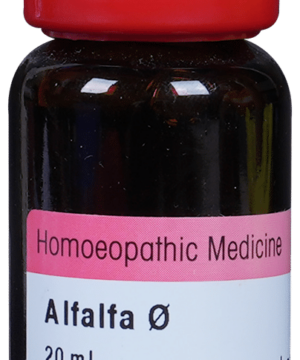Dr. Reckeweg Alfalfa Mother Tincture Q
