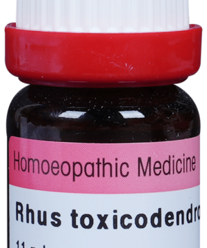 Dr. Reckeweg Rhus Tox Dilution 1000 CH