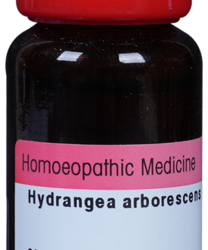 Dr. Reckeweg Hydrangea Mother Tincture Q