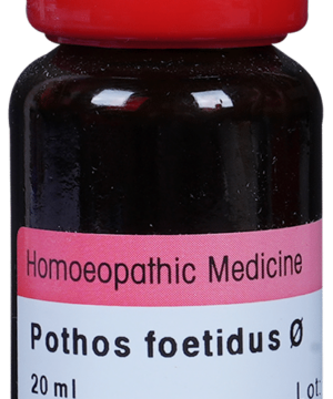 Dr. Reckeweg Pothos Foetida Mother Tincture Q