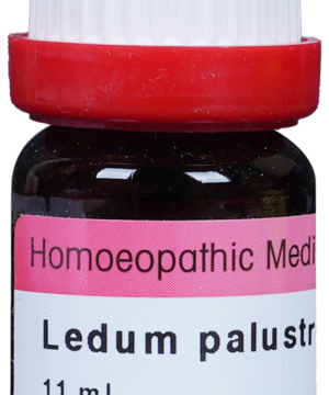 Dr. Reckeweg Ledum Pal Dilution 200 CH