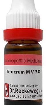 Dr. Reckeweg Teucrium M V Dilution 30 CH