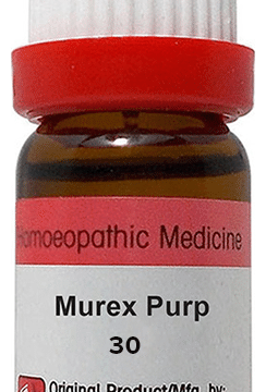Dr. Reckeweg Murex Purp Dilution 30 CH