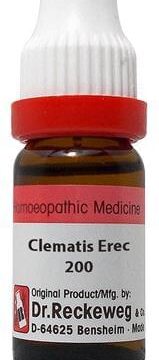 Dr. Reckeweg Clematis Erec Dilution 200 CH
