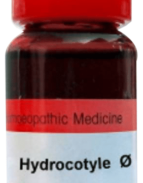 Dr. Reckeweg Hydrocotyle Asiat Mother Tincture Q