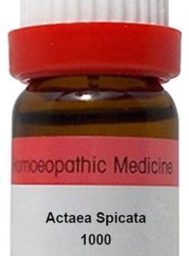 Dr. Reckeweg Actaea Spicata Dilution 1000 CH