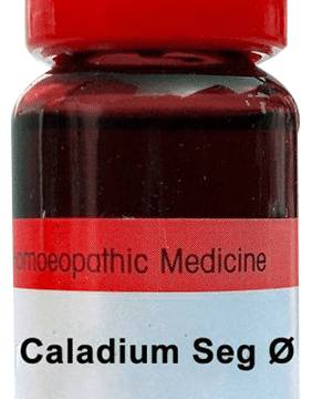 Dr. Reckeweg Caladium Seg Mother Tincture Q