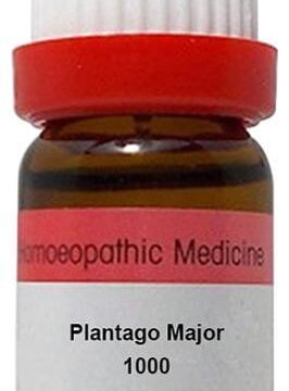 Dr. Reckeweg Plantago Major Dilution 1000 CH