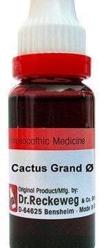 Dr. Reckeweg Cactus Grand Mother Tincture Q