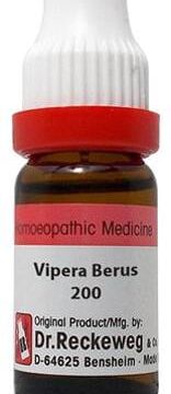 Dr. Reckeweg Vipera Berus Dilution 200 CH