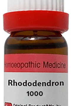 Dr. Reckeweg Rhododendron Dilution 1000 CH