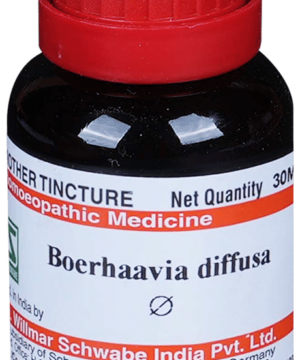 Dr Willmar Schwabe India Boerhaavia Diffusa Mother Tincture Q