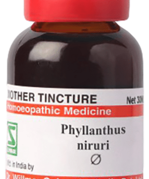 Dr Willmar Schwabe Germany Phyllanthus Niruri Mother Tincture Q
