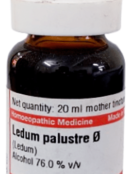 Dr Willmar Schwabe Germany Ledum Palustre Mother Tincture Q