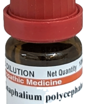 Dr Willmar Schwabe India Gnaphalium Polycephalum Dilution 30 CH