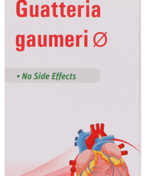 Dr Willmar Schwabe Germany Guatteria Gaumeri Mother Tincture Q
