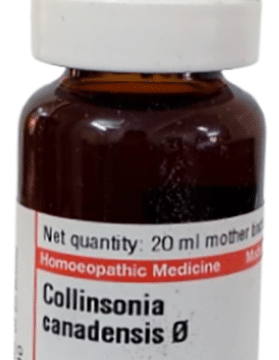 Dr Willmar Schwabe Germany Collinsonia Canadensis Mother Tincture Q