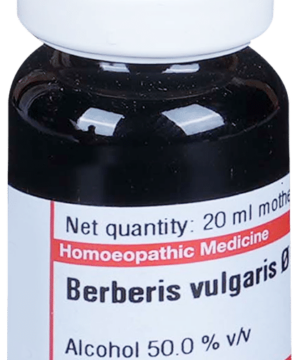 Dr Willmar Schwabe Germany Berberis Vulgaris Mother Tincture Q