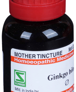 Dr Willmar Schwabe India Ginkgo Biloba Mother Tincture Q