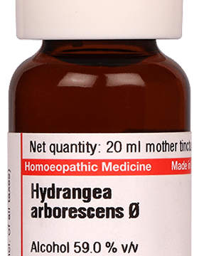 Dr Willmar Schwabe Germany Hydrangea Arborescens Mother Tincture Q