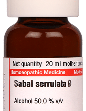 Dr Willmar Schwabe Germany Sabal Serrulata Mother Tincture Q