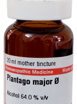 Dr Willmar Schwabe Germany Plantago Major Mother Tincture Q