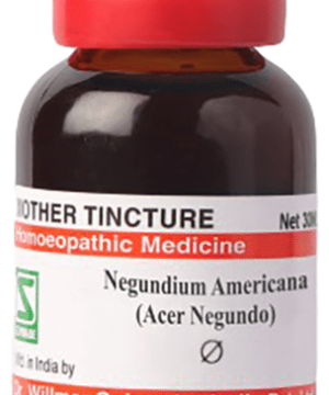 Dr Willmar Schwabe Germany Negundium Americana Mother Tincture Q