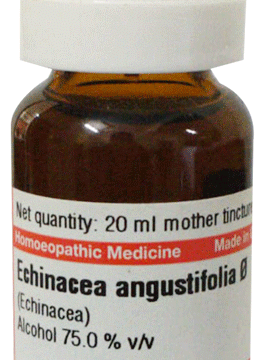 Dr Willmar Schwabe Germany Echinacea Agustifolia Mother Tincture