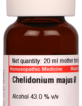 Dr Willmar Schwabe Germany Chelidonium Majus Mother Tincture Q