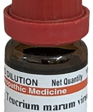 Dr Willmar Schwabe India Teucrium Marum Virum Dilution 30 CH